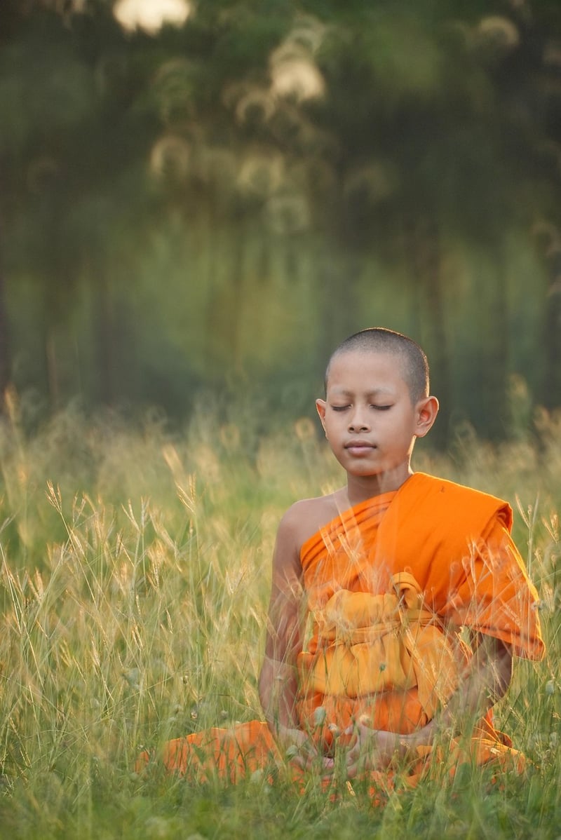 Meditation in Sun Style Martial Arts