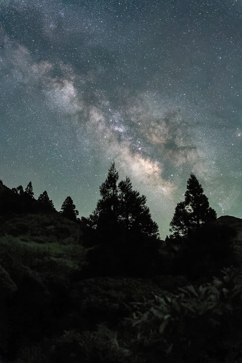 Mindful Mental Practices